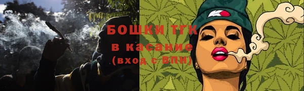 молекула духа Арсеньев