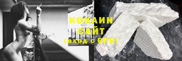 молекула духа Арсеньев