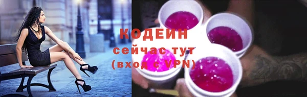 молекула духа Арсеньев