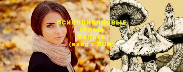 метадон Аркадак