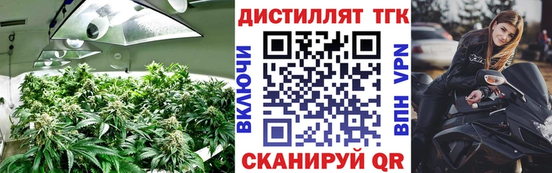 ТГК Wax Ярцево